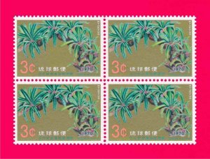 Ryukyu 1970 Nature Flora Great Cycad of Une - National Treasures 4v Sc205 MNH