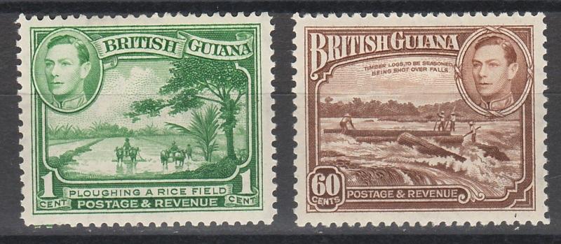 BRITISH GUIANA 1938 KGVI PICTORIAL 1C AND 60C PERF 12.5