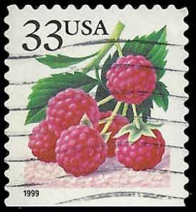 # 3295 USED RASPBERRIES