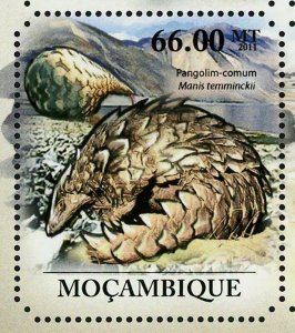 Pangolins & Aardvarks Manis Temminckii Orycteropus After S/S MNH #4959-4964