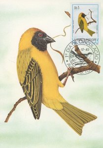 First Day Cover Postcard Bird Camussela Galo Textur Velatus Peixotoi 1983