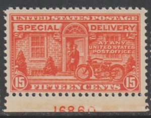 U.S. Scott #E13 Special Delivery Stamp - Mint NH Single