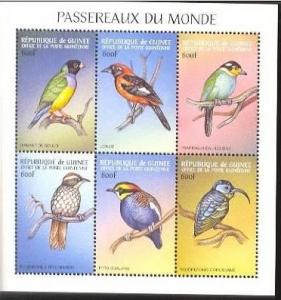 GUINEA GUINEE SHEET BIRDS X1