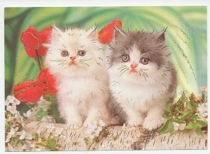 Postal stationery Belarus 2003 Cat