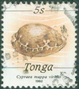 TONGA 800 USED BIN $0.50