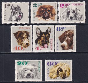 Poland 1969 Sc 1636-43 Maltese Terrier Schnauzer Setter Pekinese Dogs Stamp MH