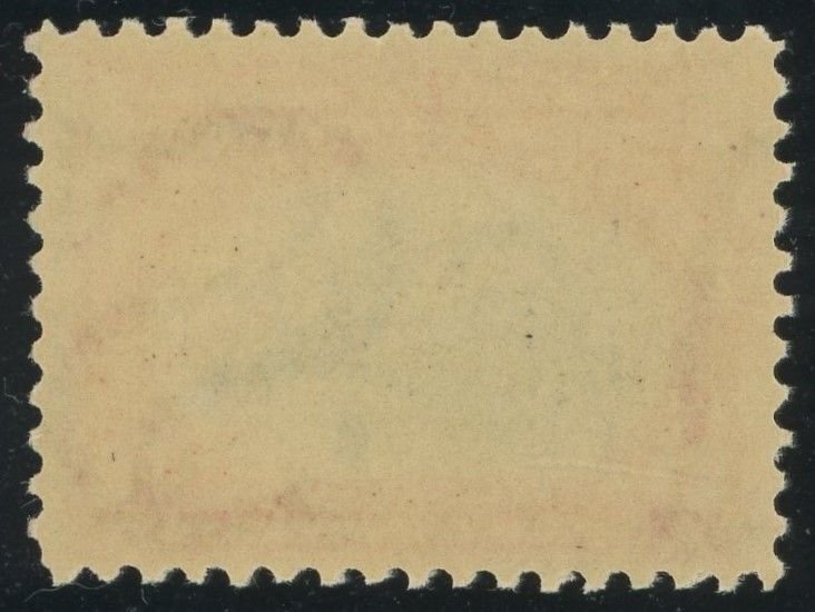 USA 295 - 2 cent Pan-American Expo - F/VF Mint never hinged & sound
