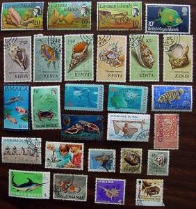 Topicals - Marine Life, 27 Different