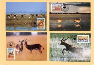 Zambia WWF World Wild Fund for Nature maxicards Black Lechwe antelope