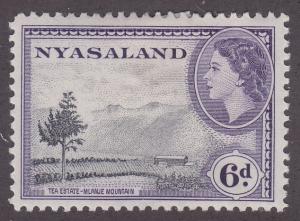 Nyasaland Protectorate 104 Tea Plantation 1953