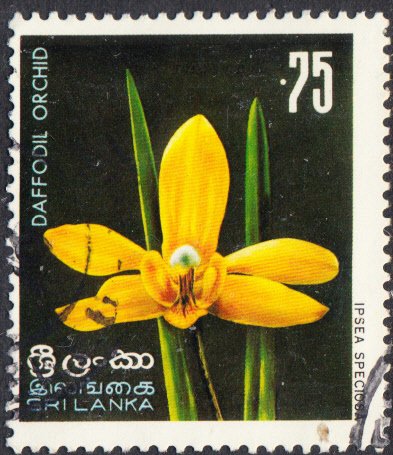 SriLanka #497 Used