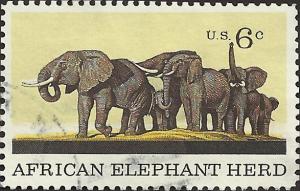 # 1388 USED ELEPHANT HERD