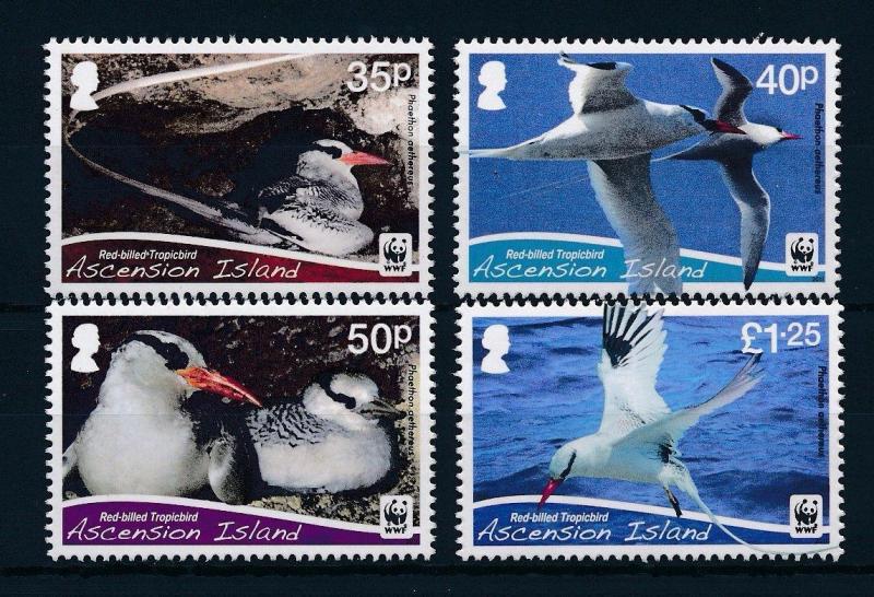 [31047] Ascension 2011 Birds Vögel Oiseaux Ucelli   MNH