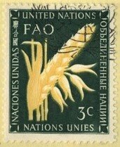 United Nations, - SC #23 - USED - 1954 - Item UNNY155