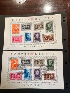 Stamps Poland Souvenir Sheet 1948 never hinged and used