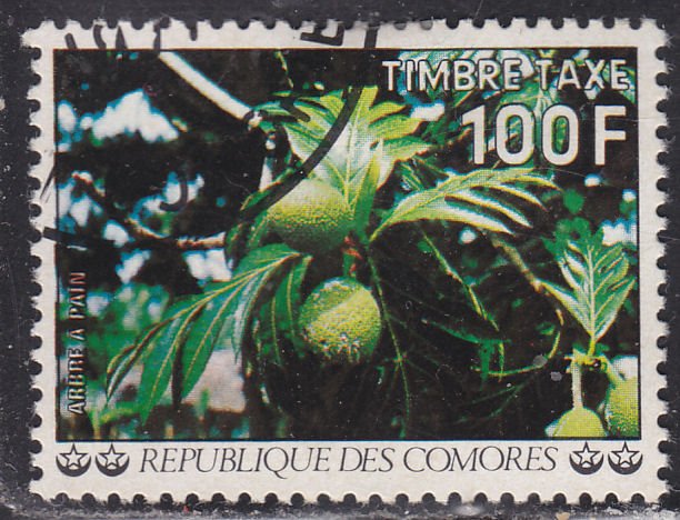 Comoro Islands J15 Flowers 1977