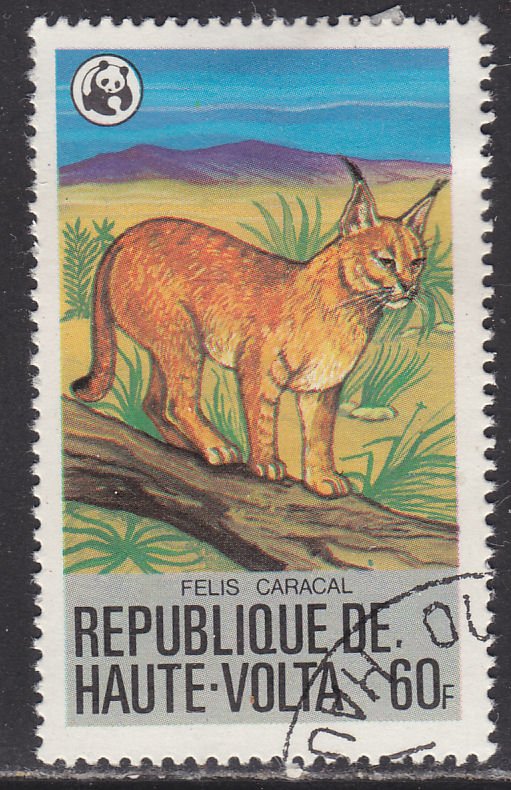 Burkina Faso 508 Caracal 1979