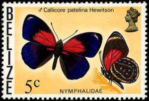 BELIZE Sc 350 VF/MNH -1974 5c Butterflies of Belize - Wmk. 314 sideways