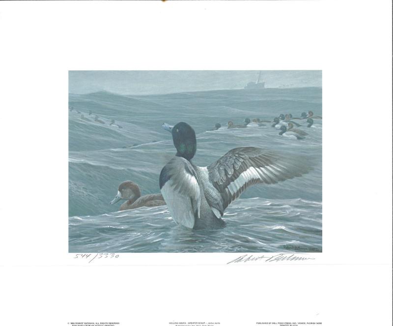 NEW YORK #5 1989 STATE DUCK STAMP PRINT GREATER SCAUP EXECUTIVE ED