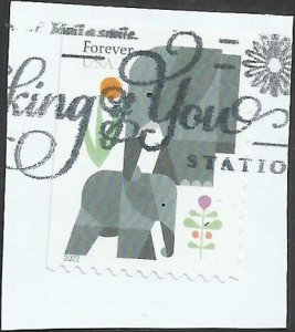 # 5714 Used Elephants