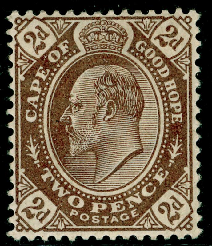 SOUTH AFRICA - Cape of Good Hope SG72, 2d Brown, LH MINT. Cat £24.