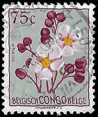 BELGIAN CONGO   #270 USED (5)