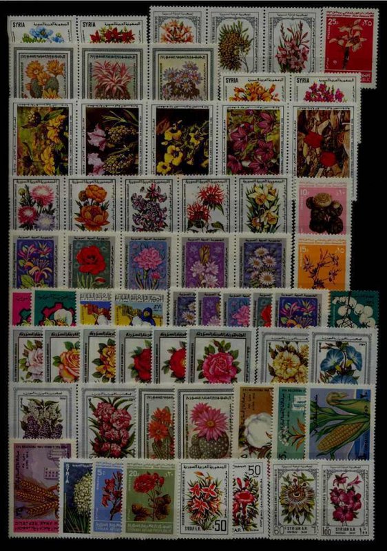 Syria MNH lot Flowers/ 61val.