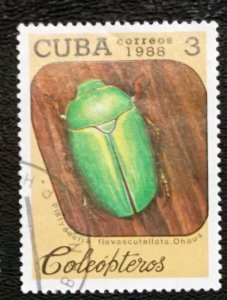 CUBA Sc# 3037 INSECTS bugs beetles 3c  1988  used cto