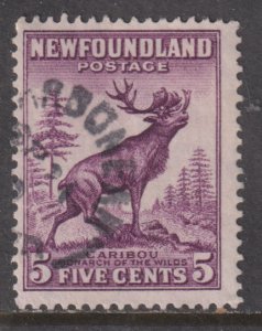 Newfoundland 191 Cariboo 1932