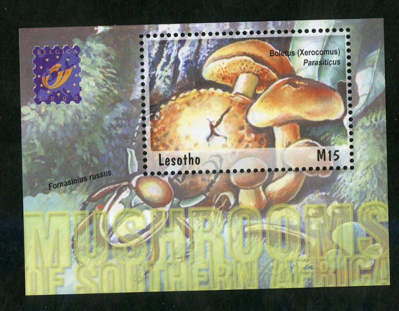 LESOTHO 1289 MNH S/S SCV $7.00 BIN $4.25 MUSHROOMS