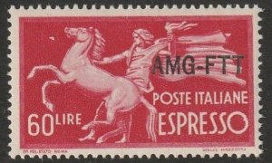 Italy - Trieste Zone A, A.M.G. - F.T.T. Special Delivery, Scott No(s). E6 MNH