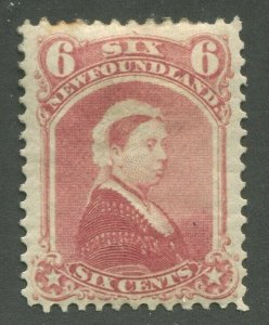 NEWFOUNDLAND #35 MINT F/VF