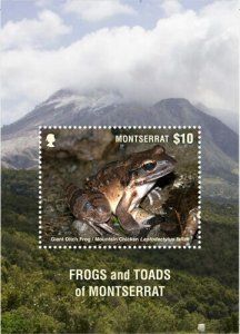 Montserrat 2018 - Frogs and Toads - Souvenir Stamp Sheet - Scott #1405 - MNH