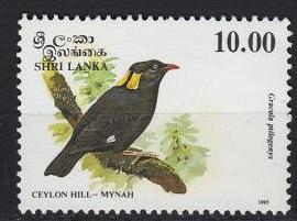 Sri Lanka - 1993 Birds  Sc# 1082 - Key stamp - MNH  (4947)