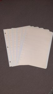 20 Manila 12 Row Stock pages - FREE SHIPPING!!