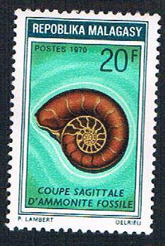 Madagascar 443 MLH Ammonite  (BP1493)
