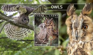 Sierra Leone - 2019 Owls on Stamps - Stamp Souvenir Sheet - SRL191208b