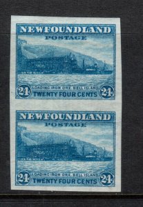 Newfoundland #210a Extra Fine Lightly Hinged Imperf Pair