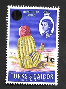 Turks & Caicos Island 1969 - MNH - Scott #182