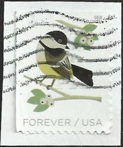 # 5317 Used Black-Capped Chickadoo