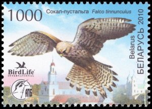 Belarus 2010 Sc 719 Birds Kestrel BirdLife International  
