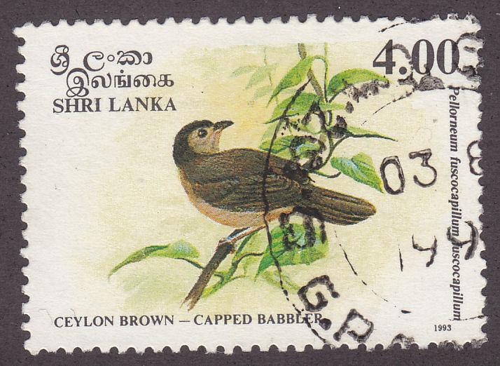 Sri Lanka 1080 Capped Babbler 1993