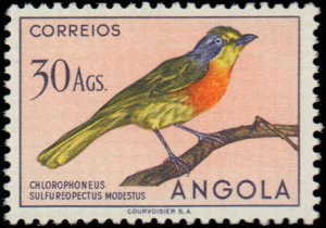 Angola #354, Incomplete Set, 1951, Birds, Never Hinged