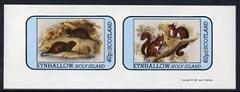 Eynhallow 1981 Animals #04 (Water Rat & Red Squirrel)...
