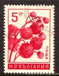 Bulgaria; 1965: Sc. # 1442; O/Used CTO Single Stamp