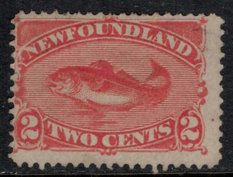 Newfoundland #48  CV $9.50+   Could be mint no gum