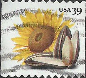 # 4005 USED SUNFLOWER AND SEEDS