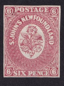 Newfoundland, Scott 20, Mint NG, VF
