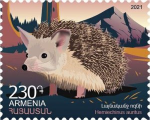 Armenia 2021 MNH** Fauna Long-eared hedgehog  Red Book Hemiechinus auritus