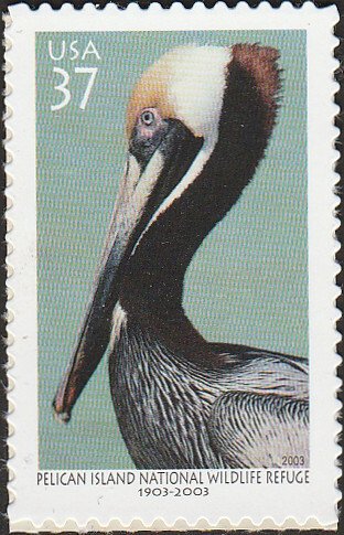 # 3774 MINT NEVER HINGED ( MNH ) BROWN PELICAN